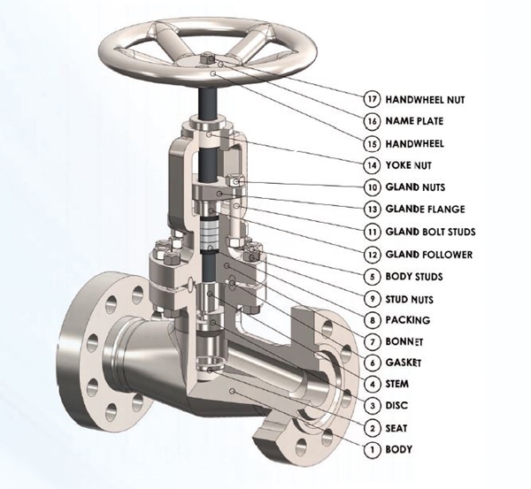 [DIAGRAM] Diagram Of Sweat Glands Valves